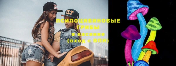 ГАЛЛЮЦИНОГЕННЫЕ ГРИБЫ Сосновоборск
