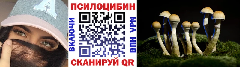 Галлюциногенные грибы прущие грибы  как найти   Шебекино 