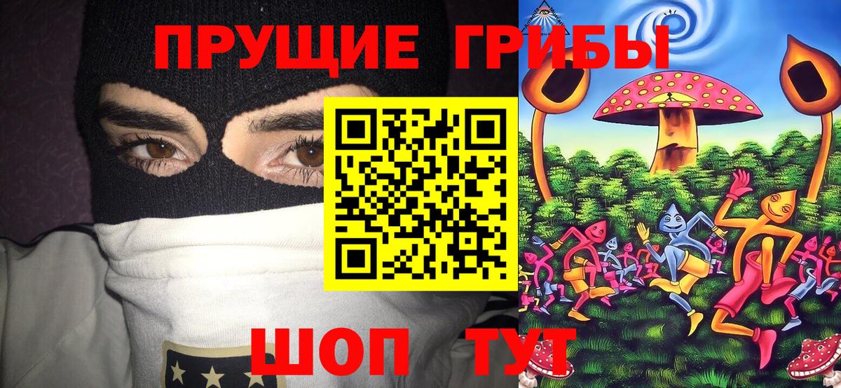 Галлюциногенные грибы прущие грибы Шебекино