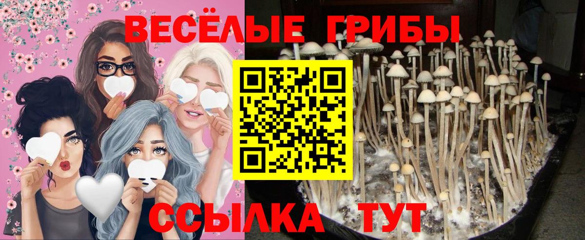 Псилоцибиновые грибы Magic Shrooms Шебекино