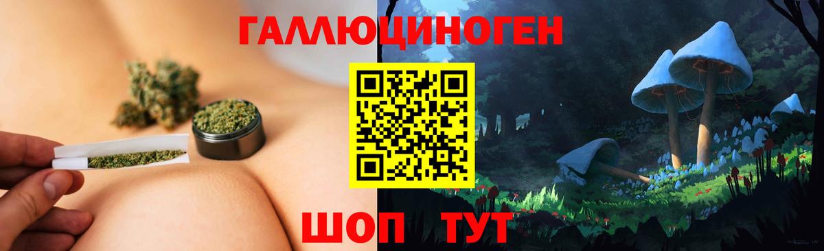 Шебекино  Галлюциногенные грибы Magic Shrooms  где можно купить наркотик  Вход с VPN  Галлюциногенные грибы мицелий 