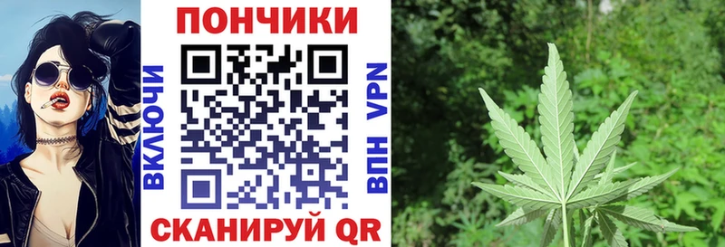 mega ссылки  Шебекино  Шишки марихуана конопля  наркота 