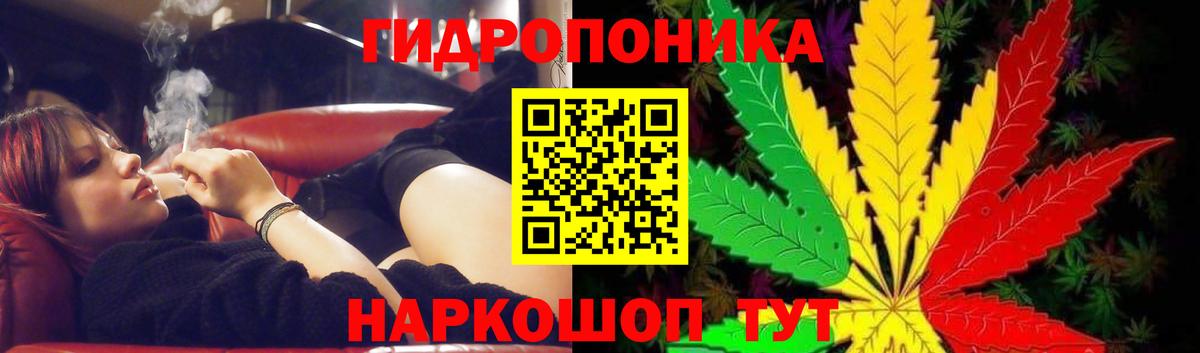 Бошки марихуана семена  Шебекино  МАРИХУАНА SATIVA & INDICA  Конопля ГИДРОПОН  Бошки марихуана индика 
